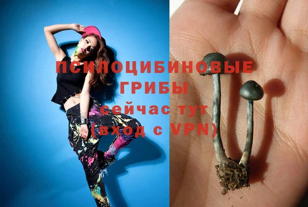 дистиллят марихуана Заводоуковск