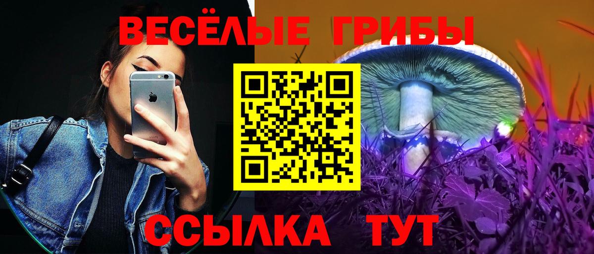 Кандалакша  Галлюциногенные грибы мухоморы  Вход с VPN 